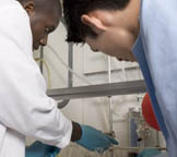 Natural Sciences Image